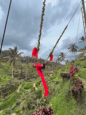 tegallalang rice terraces swing baliwonderstour